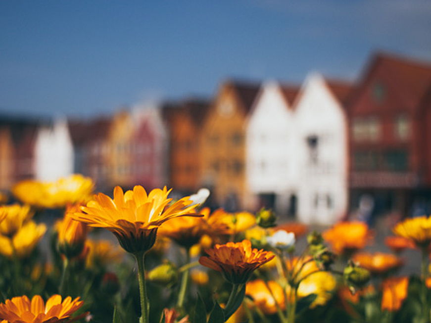  Zug
- Notre nouveau blog vous dévoile les astuces de planification d’un petit jardin de ville de rêve.