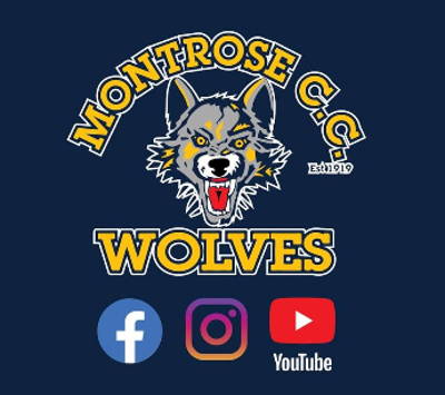 Montrose Cricket Club Cricket Club Logo