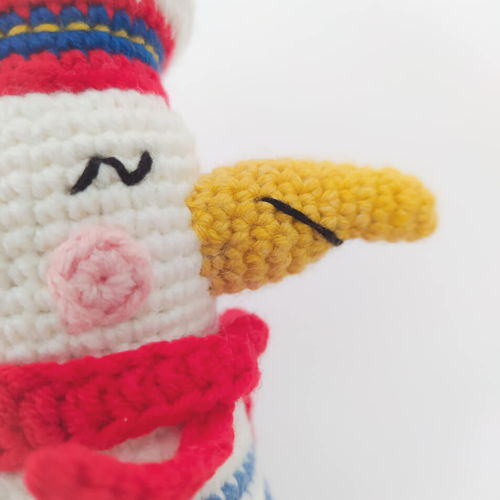 Jean-Pierre, the seagull