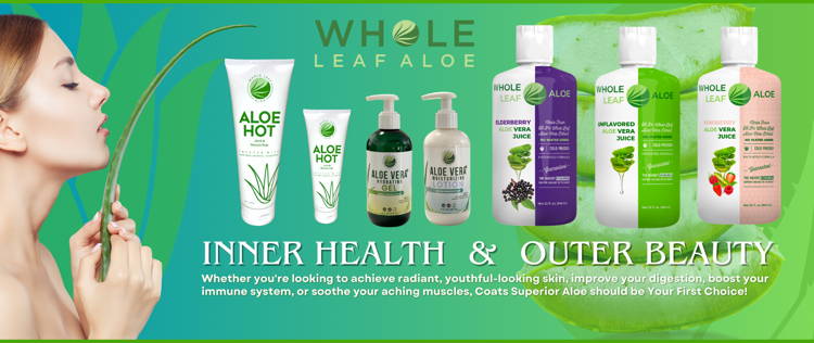 aloe vera gift Buy or Order Aloe Vera Gift Plant Online , India's Best Gifting Website