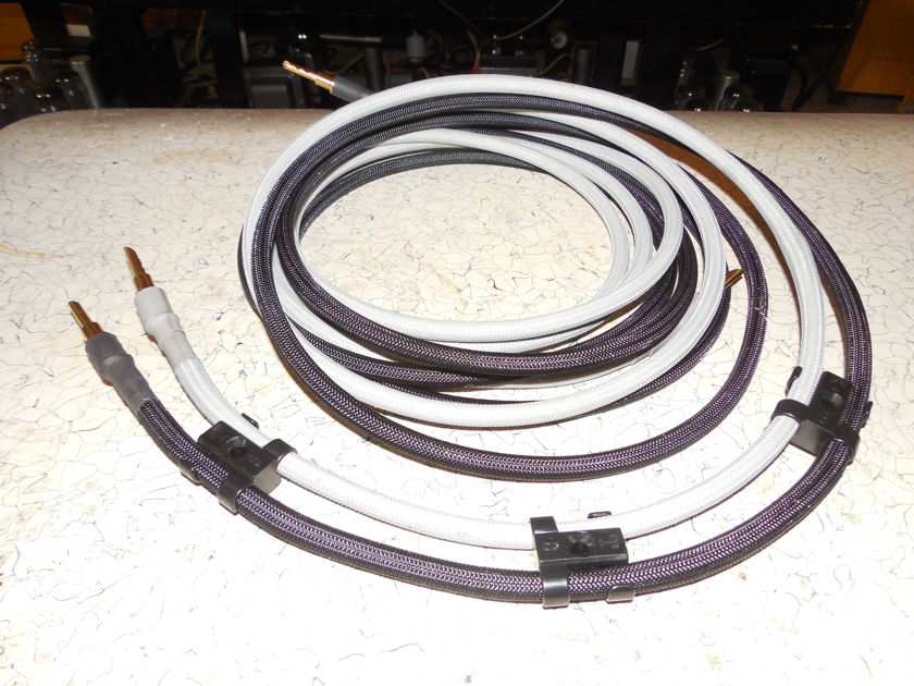 SILVER GHOST 6 AWG Silver Speaker Cables 2 Meter