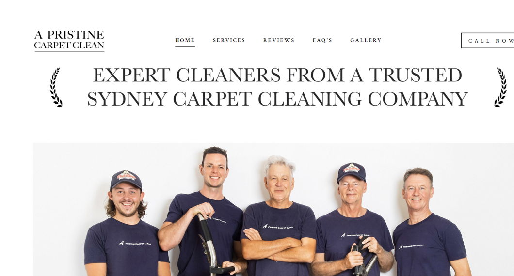 Cleaning Websites