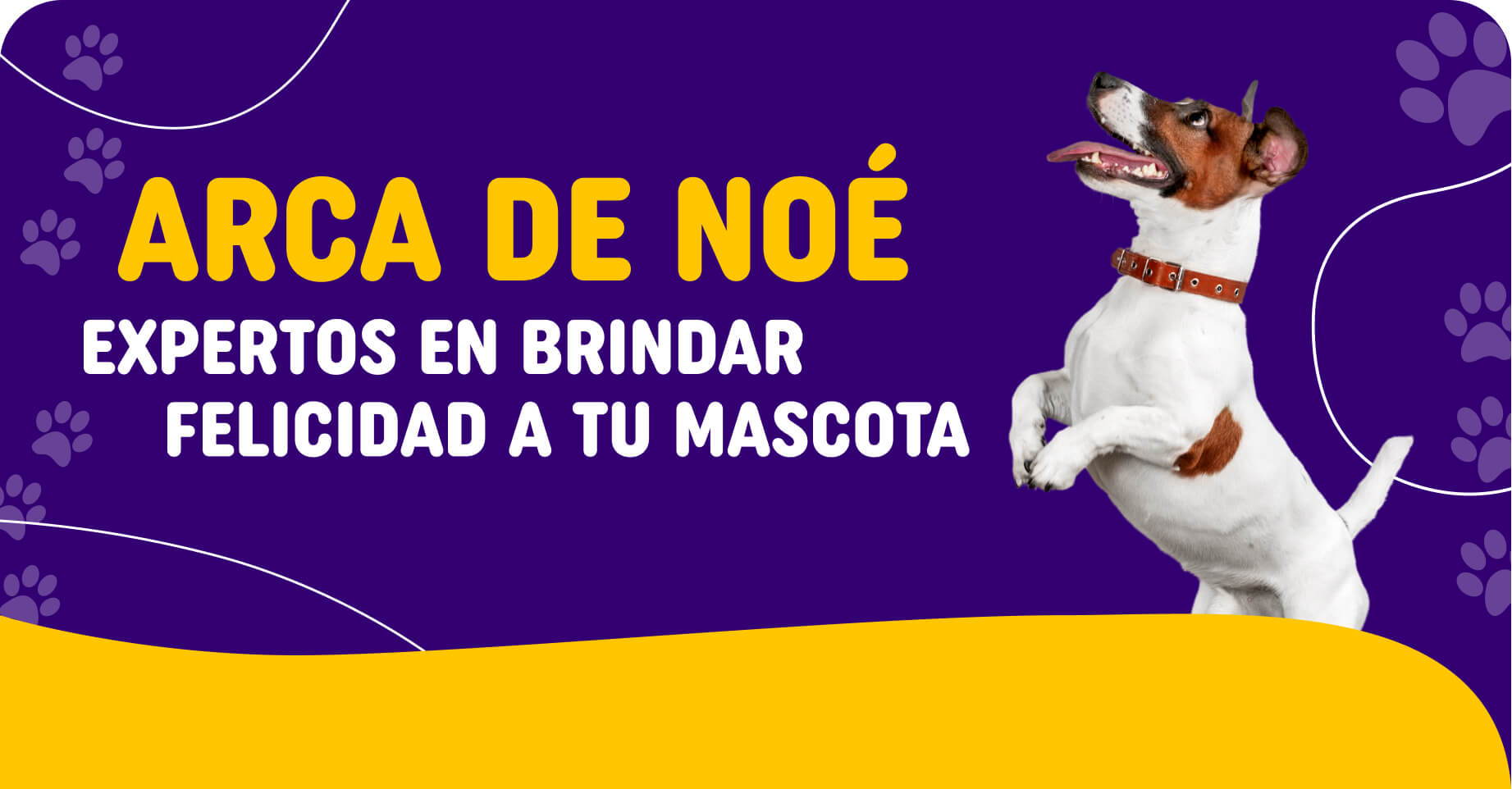 ARCA DE NOÉ