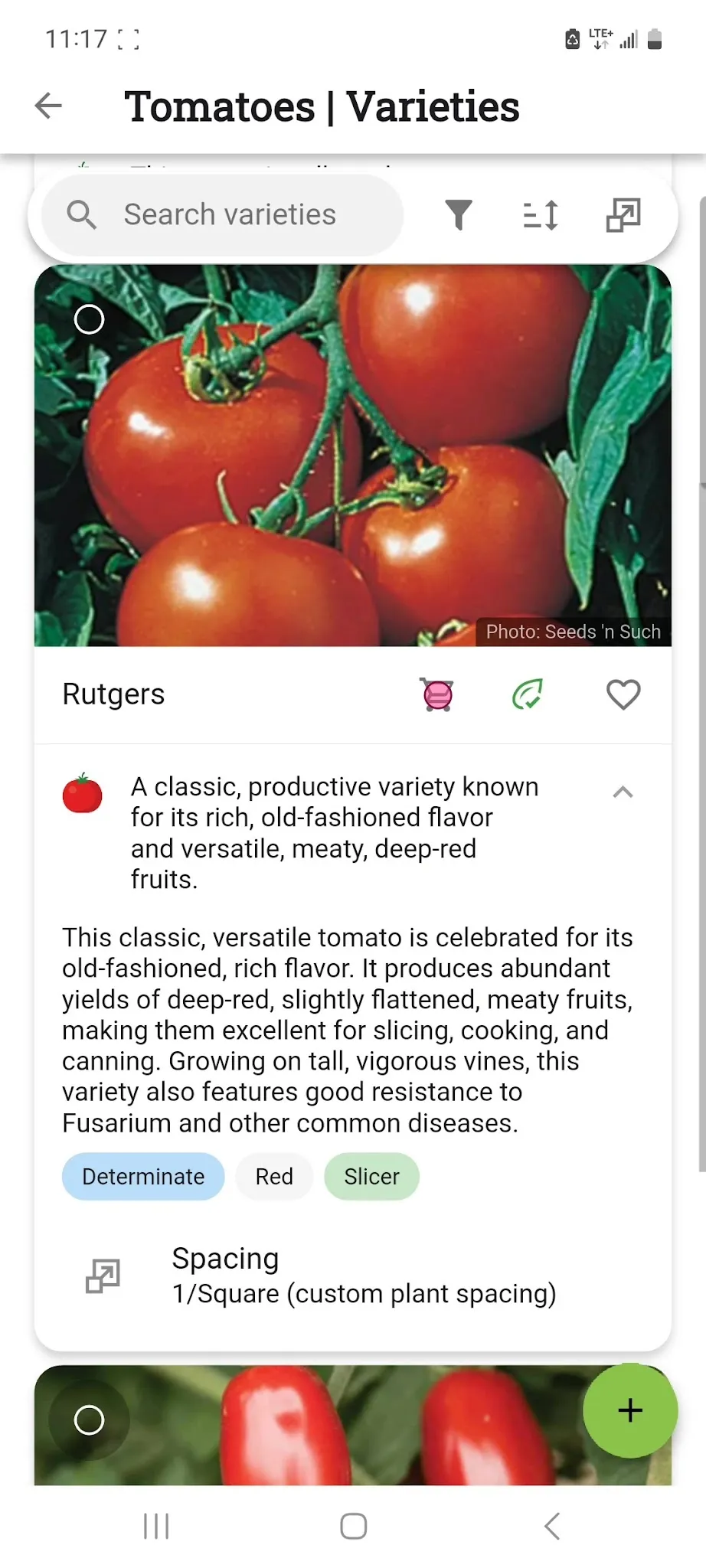 Purchase Rutgers Seeds