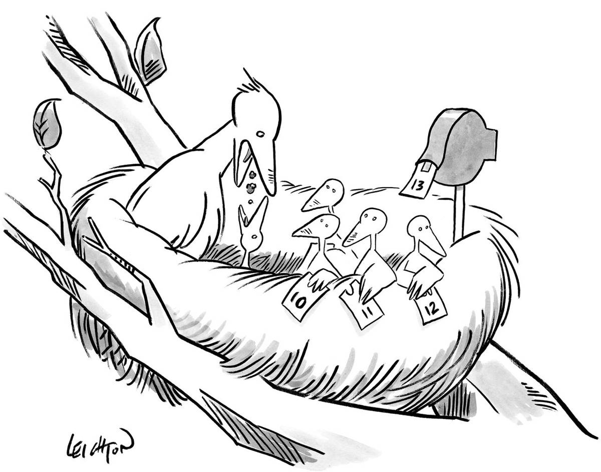 Cartoon of a mother bird feeding her babies
