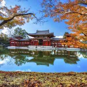 Honeymoon in Japan