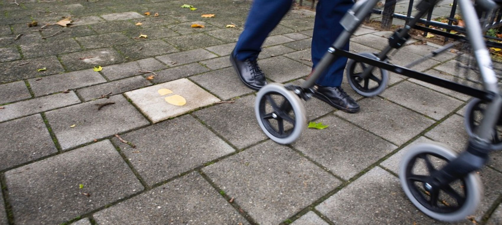Foto bij Foto bij