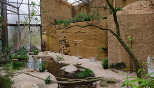 zoo krefeld vogelhaus