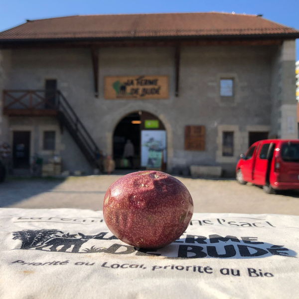 fruit-de-la-passion-bio