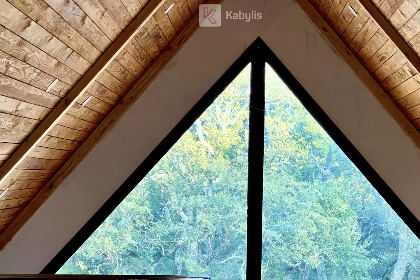 slider-image