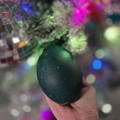 emu-egg-nestled-in-twinkle-lights