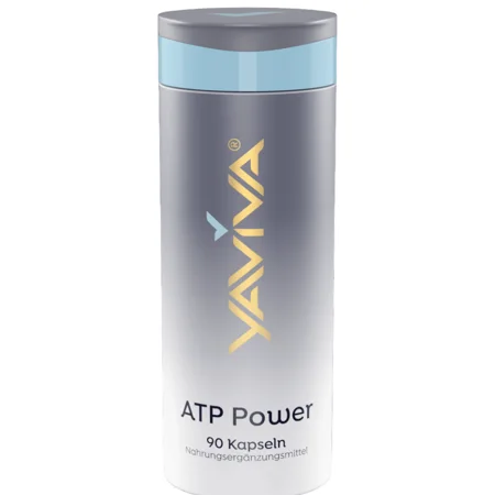 ATP Power-Energie für die Zellen Kapsel 90 Stk.