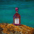 Bouteille de liqueur de Gin Rhubarb & Heather Gin Liqueur de la distillerie Isle of Barra Distillers Company sur l'île de Barra dans les Hébrides extérieures d'Ecosse