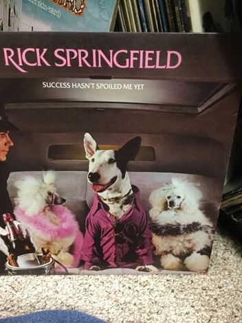 RICK SPRINGFIELD - SUCCESS HASN'T SPOILD ME YET