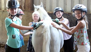 reitanlage schnitzler k