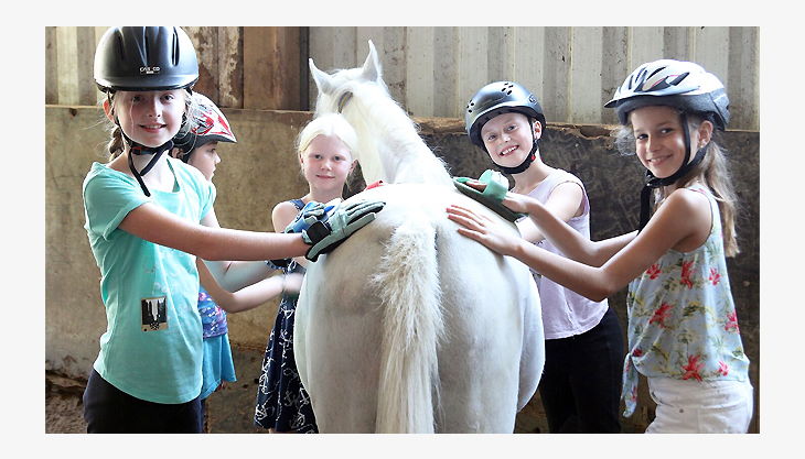 reitanlage schnitzler k