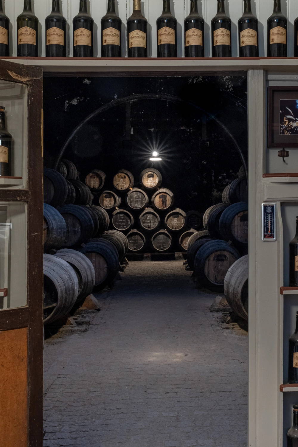 A shelf with several bottles of Port lines up. In the background, a Coolicon lampshades lights the cellar