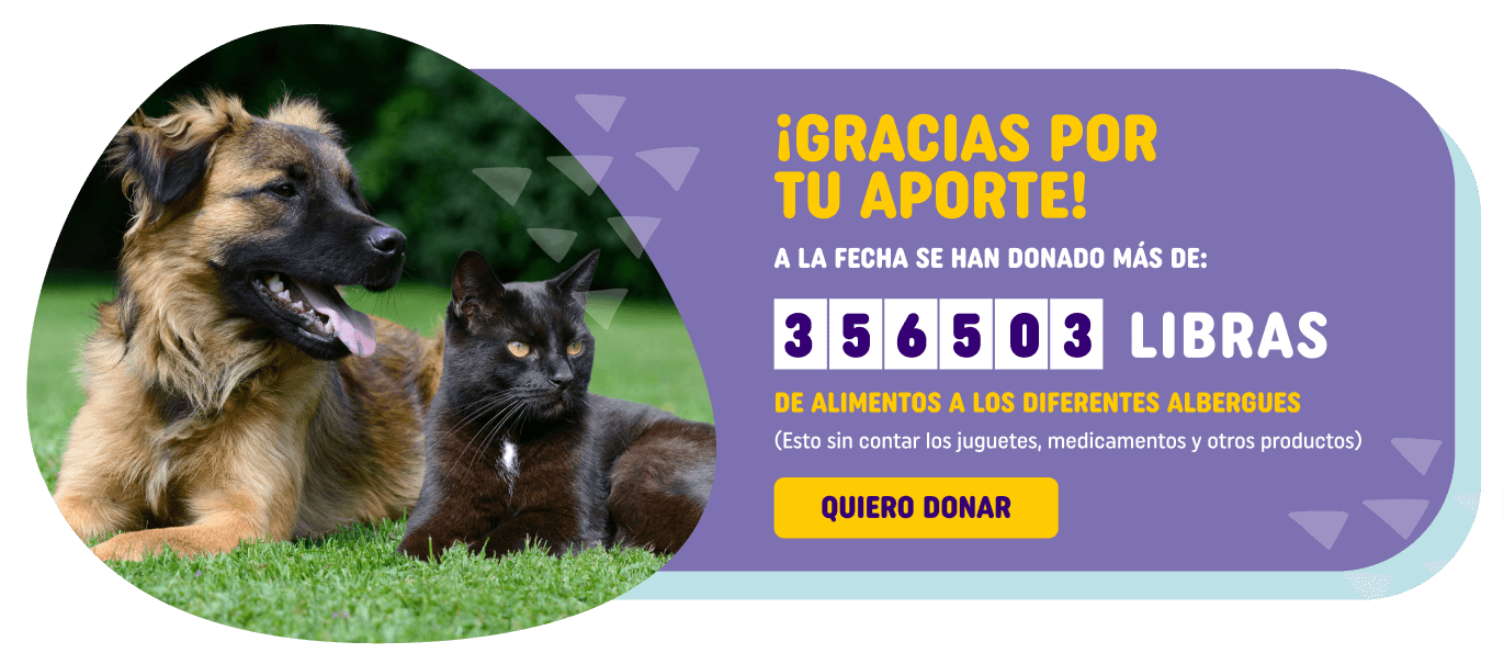 gracias por tu aporte