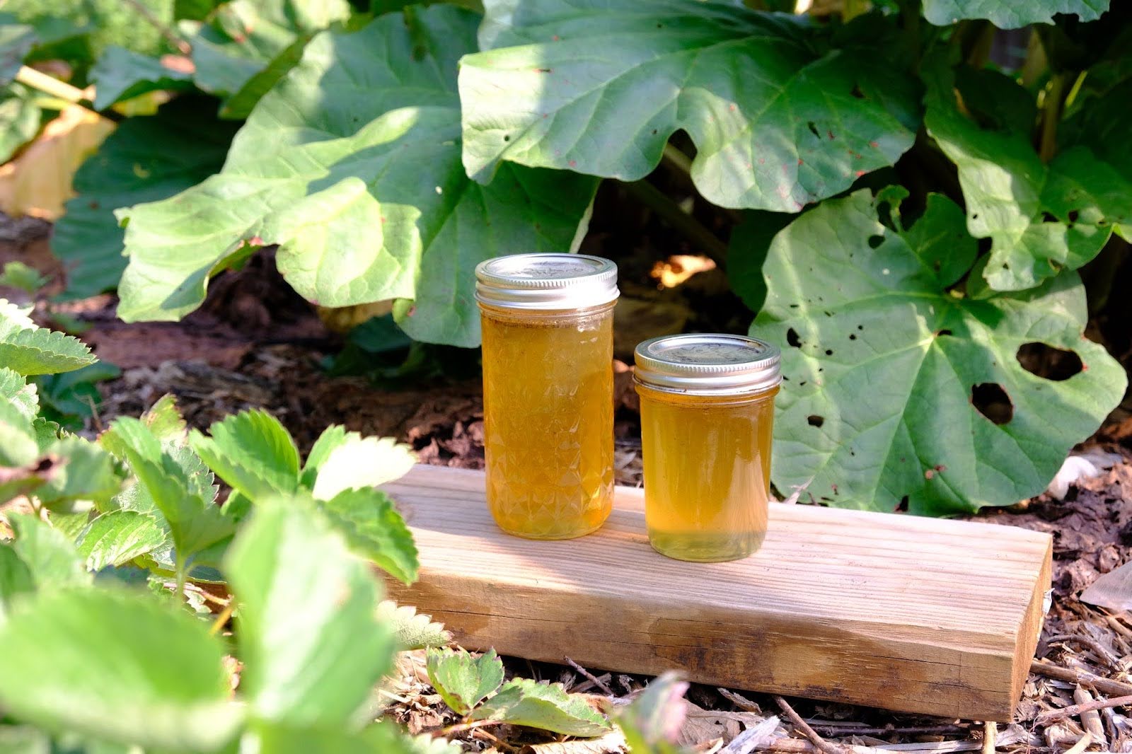 Two jars of rhubarb jelly on a wooden board in the garden