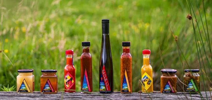 Disaster Bay Chillies