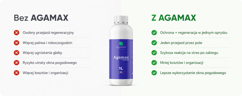 Porównanie: bez AGAMAX i z AGAMAX