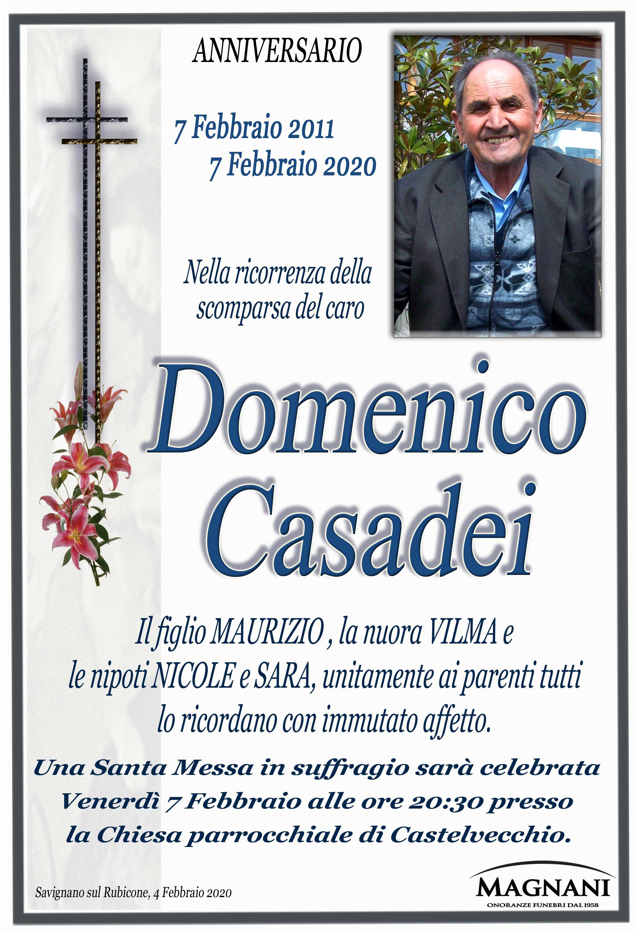 Domenico Casadei