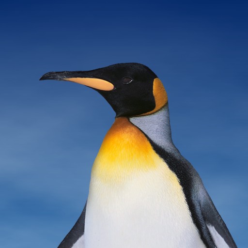 Mateusz Piotrowski avatar