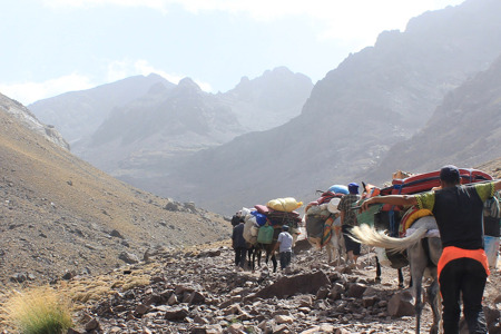 MT Toubkal 8 days.png