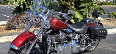 2009 HARLEY-DAVIDSON FLSTN SOFTAIL DELUXE (CSTM PAINT) motorcycle for rent near Clearwater, FL