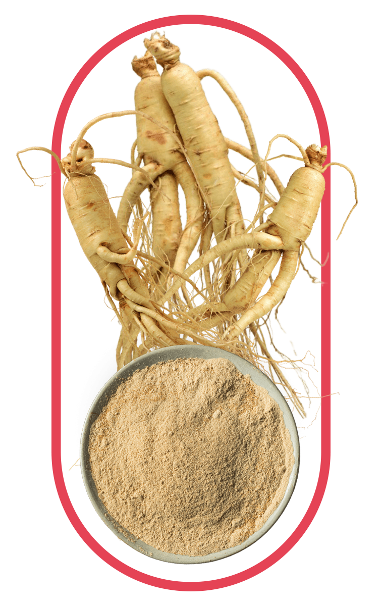 Ginseng found in our Collagen Drink