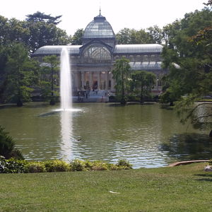 Picnic in the Park for Two on Our Honeymoon