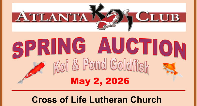 Atlanta Koi Club Spring Koi and Goldfish Auction