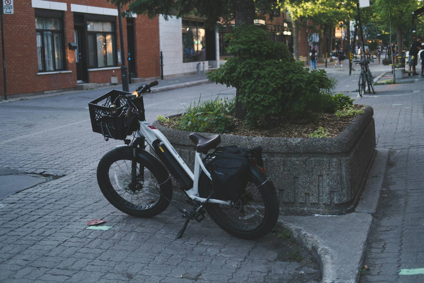 mountain bike elettrica
