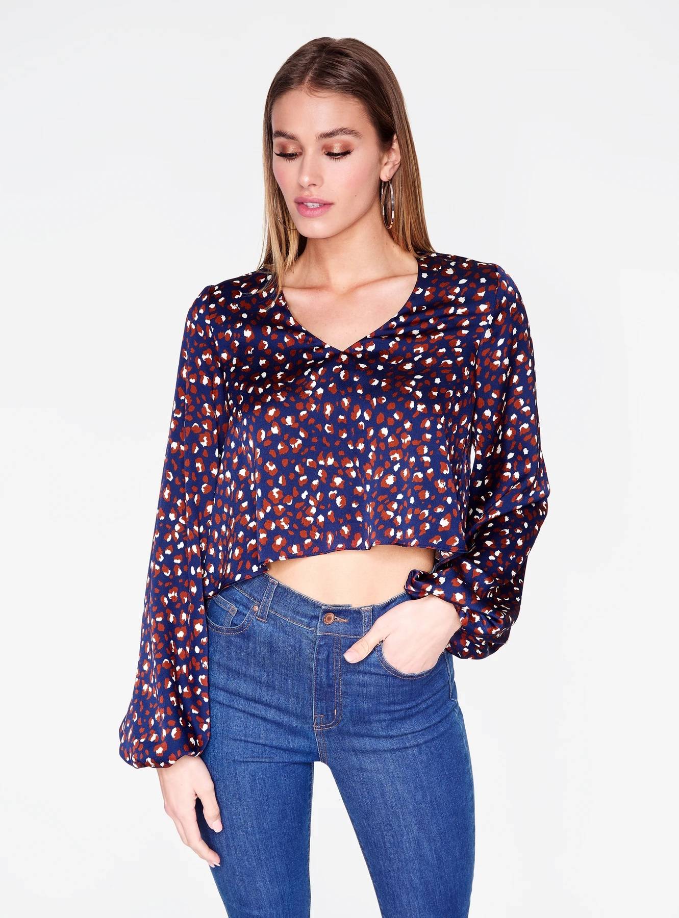 Leopard Print Long Sleeve Cropped Blouse