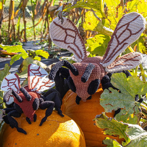 3-in-1-bundel: libel, honingbij, sprinkhaan