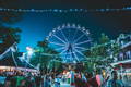 apa itu amusement park