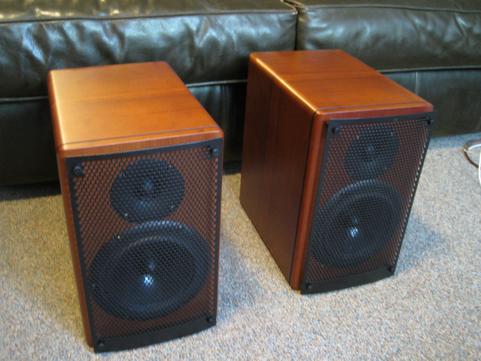 AV123 X-LS w/ Skiing Ninja mods Weird For Sale Audiogon