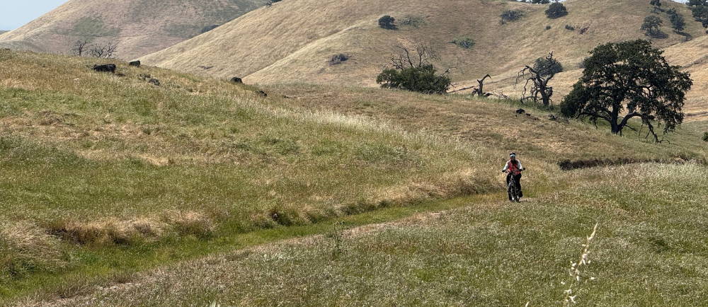 a friend on an aventon aventure electric bike from the Yosemite E-Biking fleet in the Sierra foothills