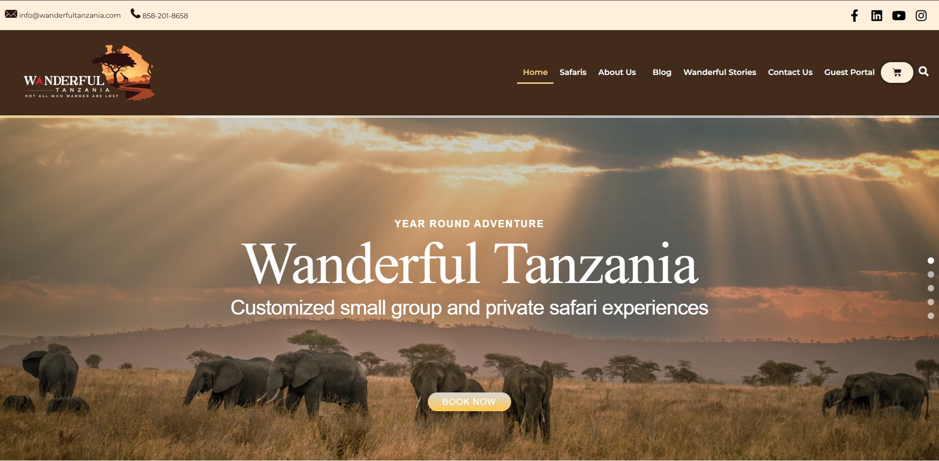 Geofenced digital marketing developers developer - Delian .'s portfolio image