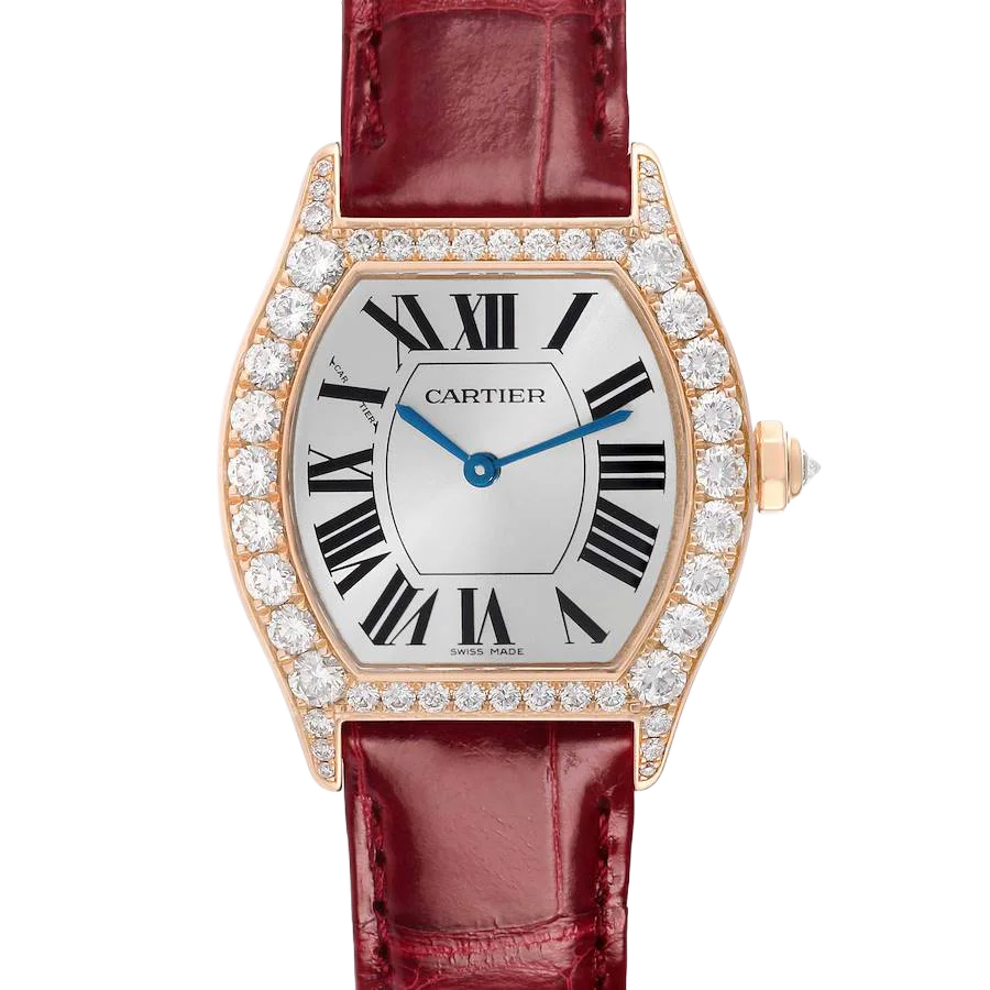 With Diamond Case Small Size Tortue, image 1