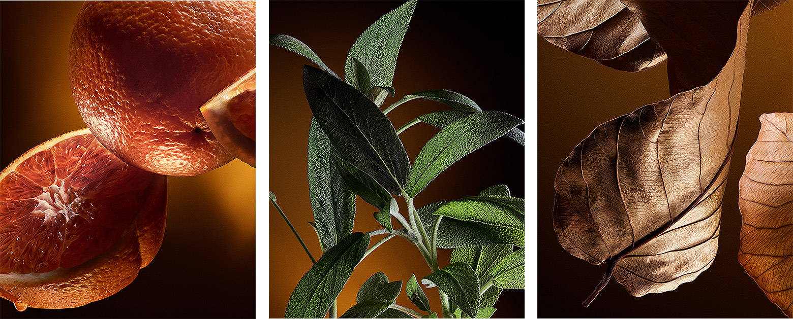 ドルチェ＆ガッバーナ ザ・ワン フォーメン オードパルファム