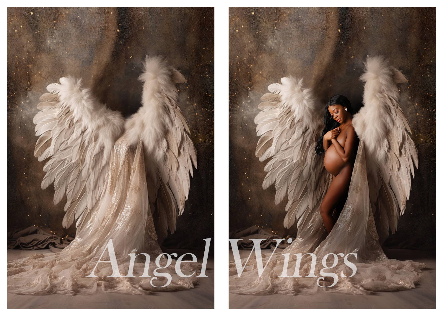 Large Angel Wings for Backdrop -  Canada