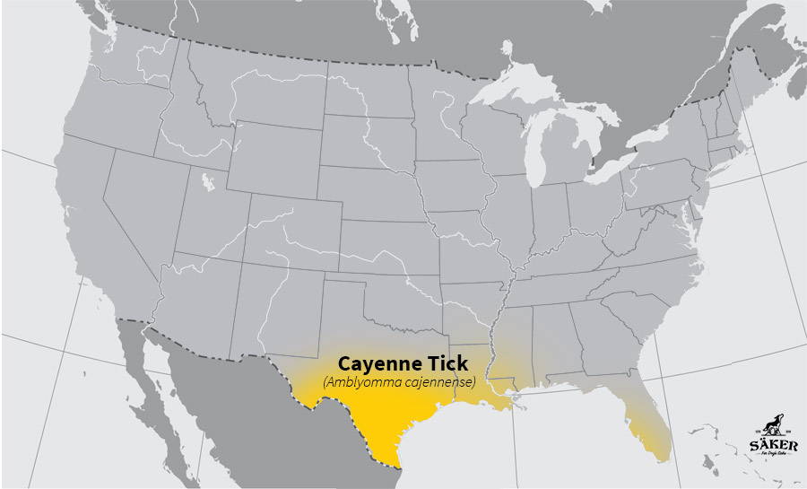 cayenne tick map distribution in the US