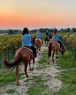  Iseo
- franciacorta6.jpg