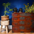Sendai province Japanese Isho Dansu Chest surrounded by acer trees