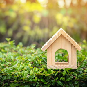 First House Fund