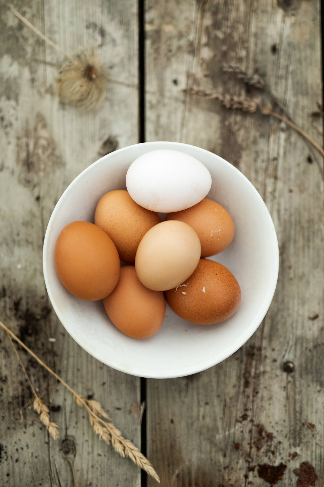 Chicken eggs