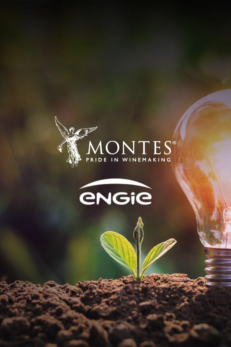 Viña Montes obtains 100% renewable energy certification
