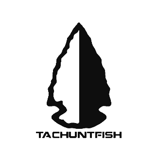 Tachuntfish