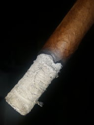 Cigar Session Photo